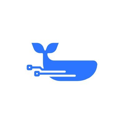 DeWhales Capital