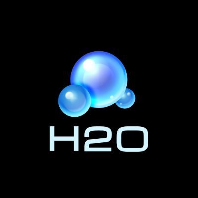 H2O Dao